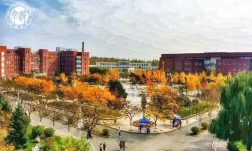 内裤不换身上会臭吗网—知名的内裤一直不换新的会有什么问题网站,分享内裤不换新的会怎样知识